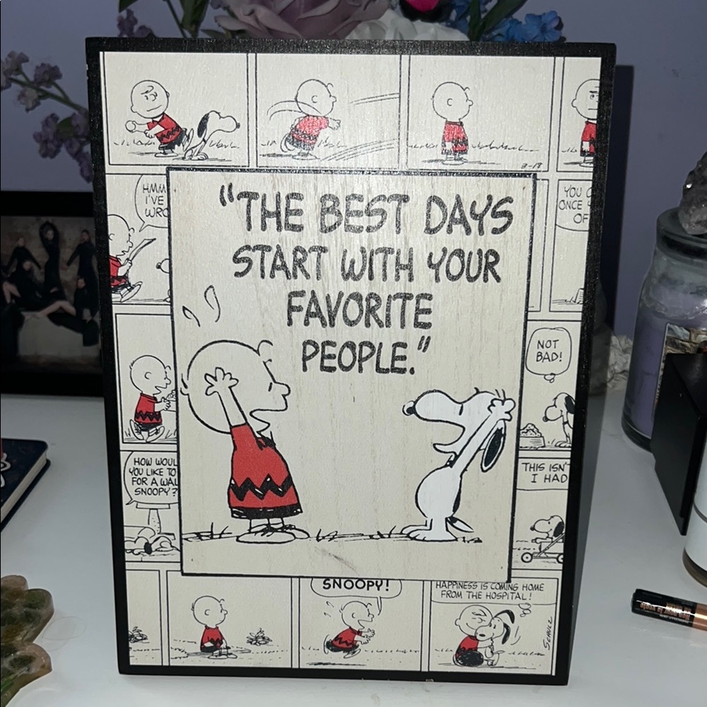 Hallmark Peanuts Comic Wall Art
